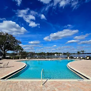 Apartment Beautiful Close To Busch Gardens, Tampa