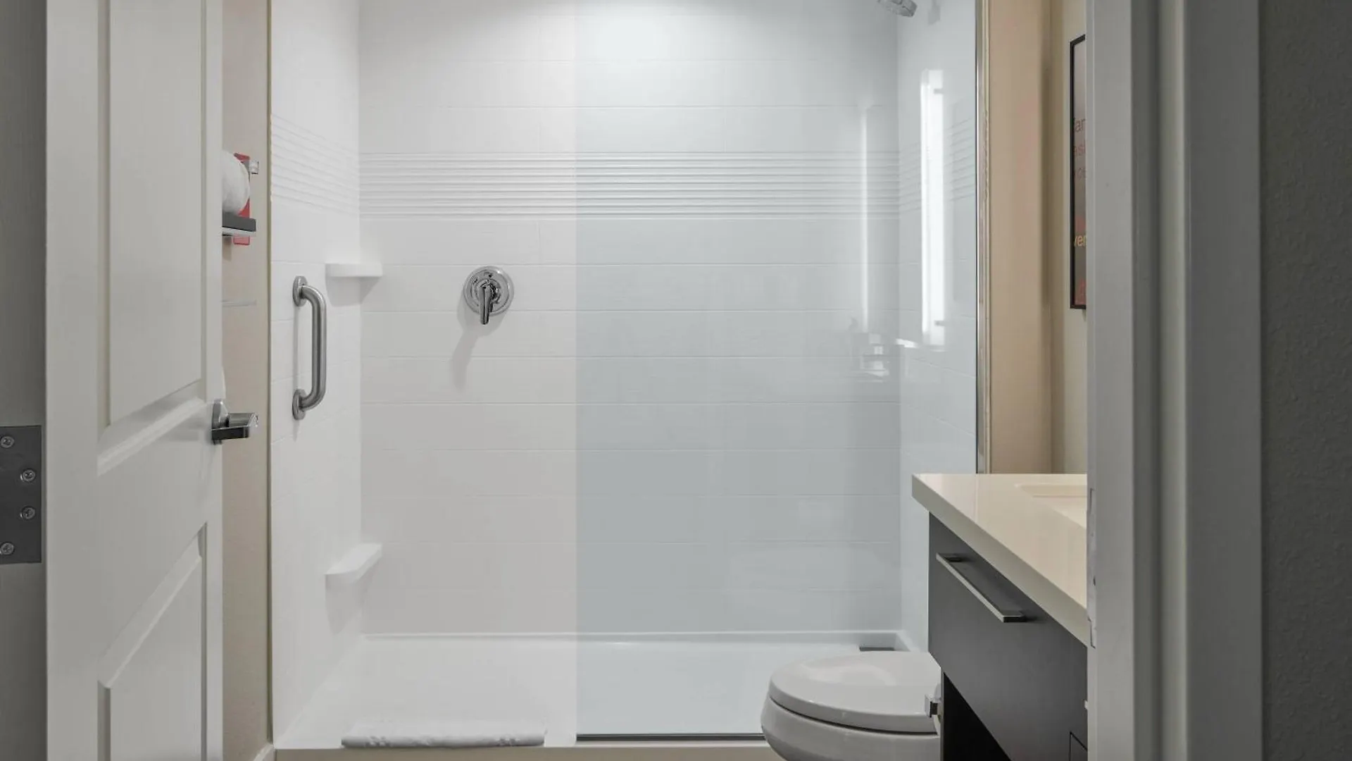 Towneplace Suites By Marriott Tampa South United States